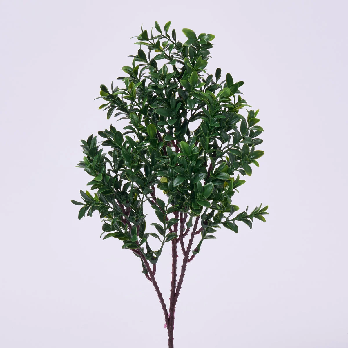 All Seasons Greenery Spray Faux Amber Boxwood Branch - 16"