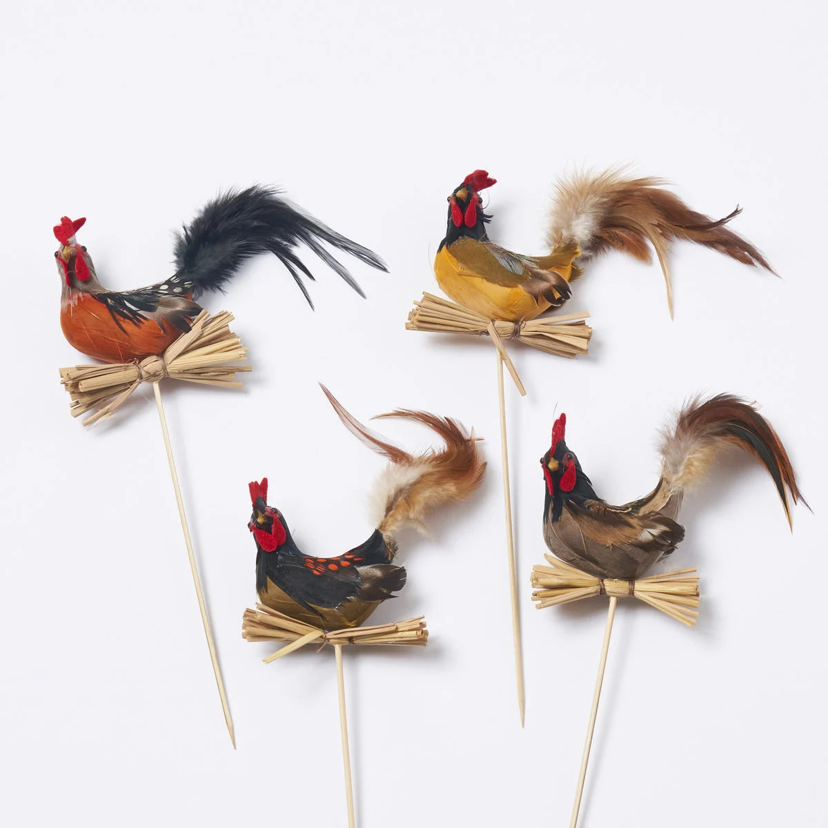 Assorted Feather Bird Hen & Rooster Picks Country Farmhouse Home Accent- Set of 4