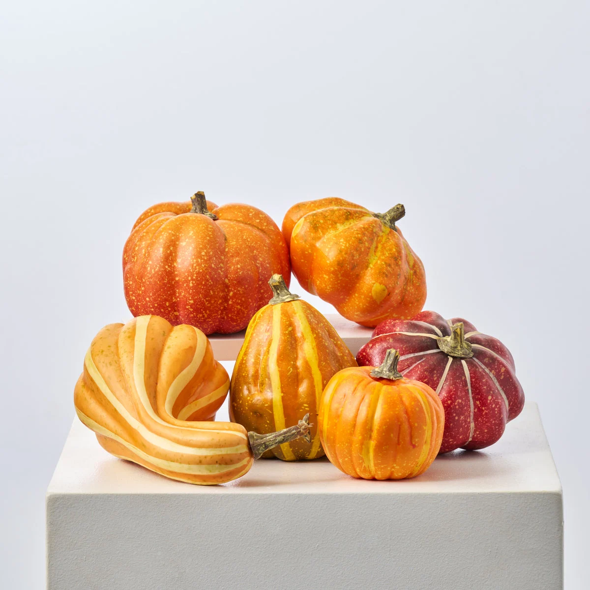 Assorted Set of 6 Medium Orange Pumpkin & Gourd Classic Fall Thanksgiving Home Decor