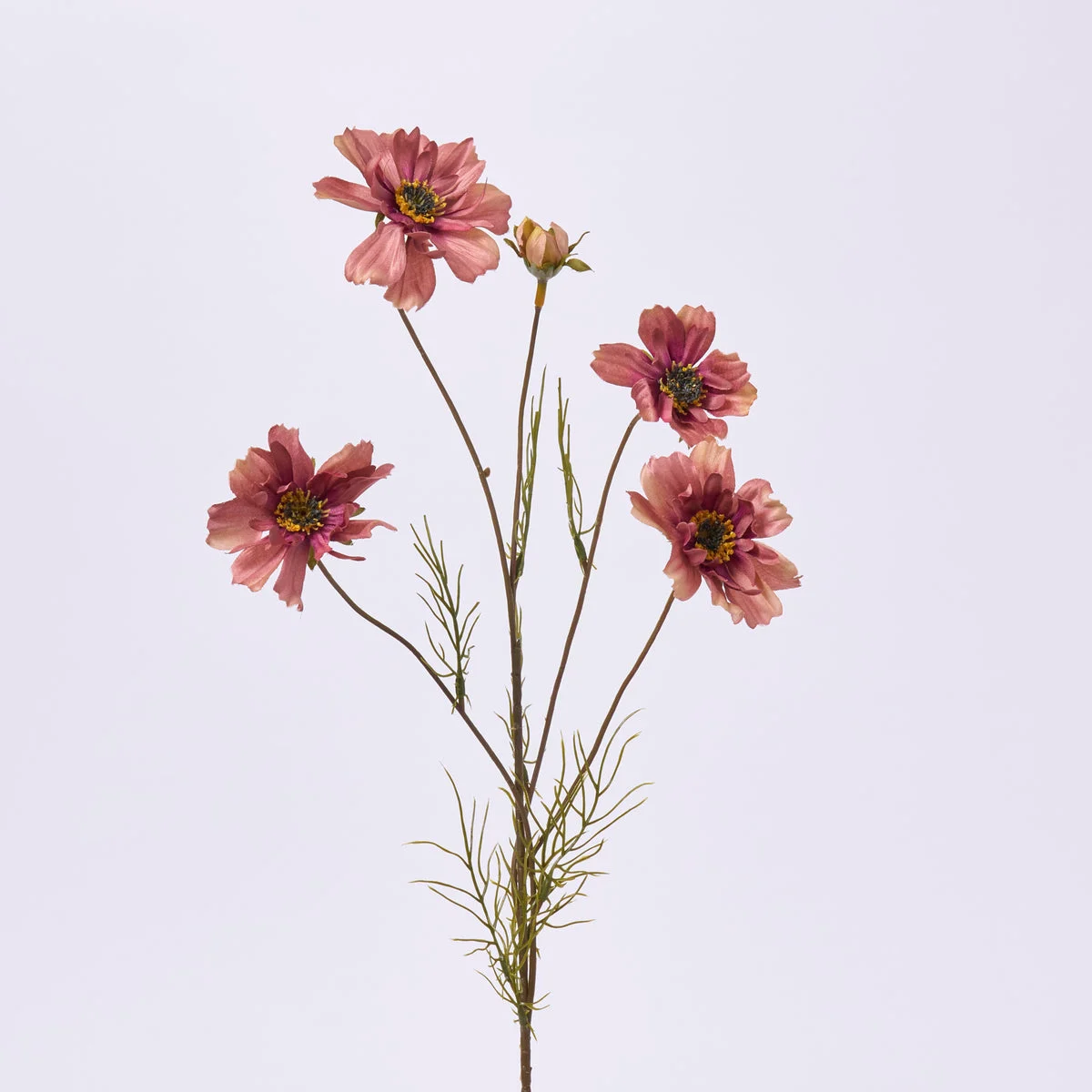 Blooming Antique Mauve Fall Cosmos Branch Single Stem Faux Floral Spray - 32"