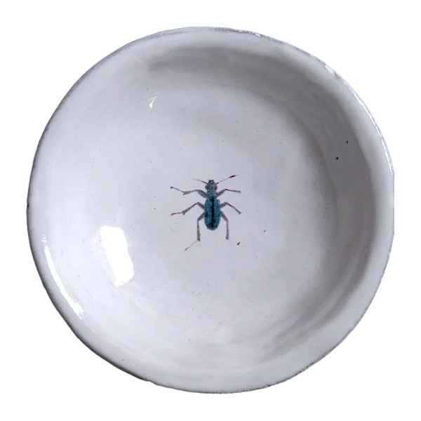 Deep Small Beetle Dish
