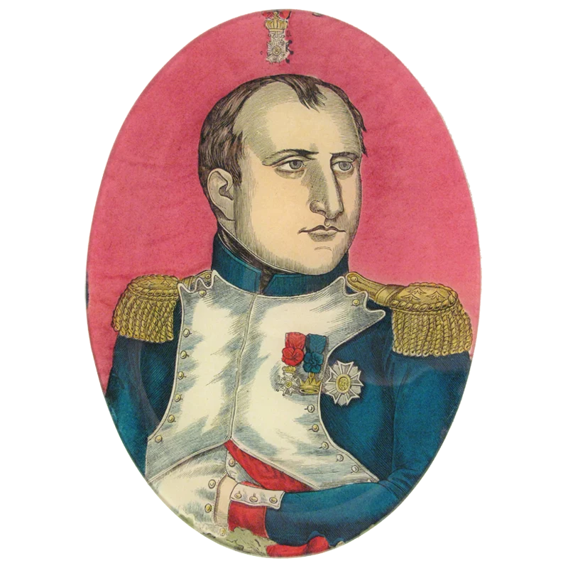 Napoleon Portrait
