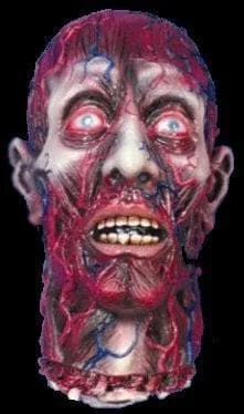 "Peeled Flesh" Severed Head Halloween Prop