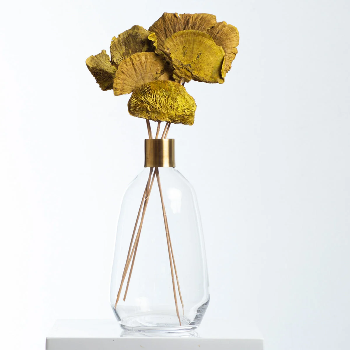 Preserved Natural Sponge Mushroom Bouquet Bundle of 6 - Goldenrod