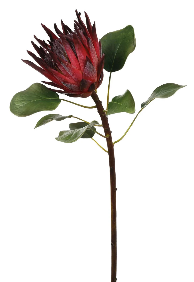 Real Touch Burgundy King Protea Flower Single Stem or Bundle of 3