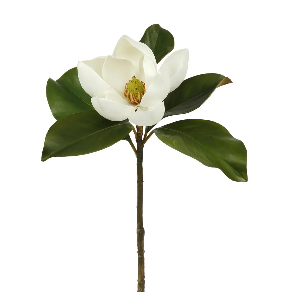 Real Touch Small Magnolia Bloom 24" Single Stem or Bundle of 3