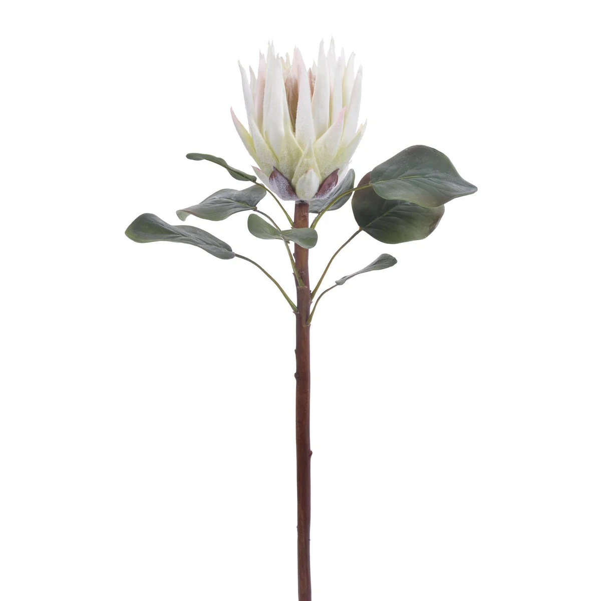 Real Touch White King Protea Flower Single Stem or Bundle of 3