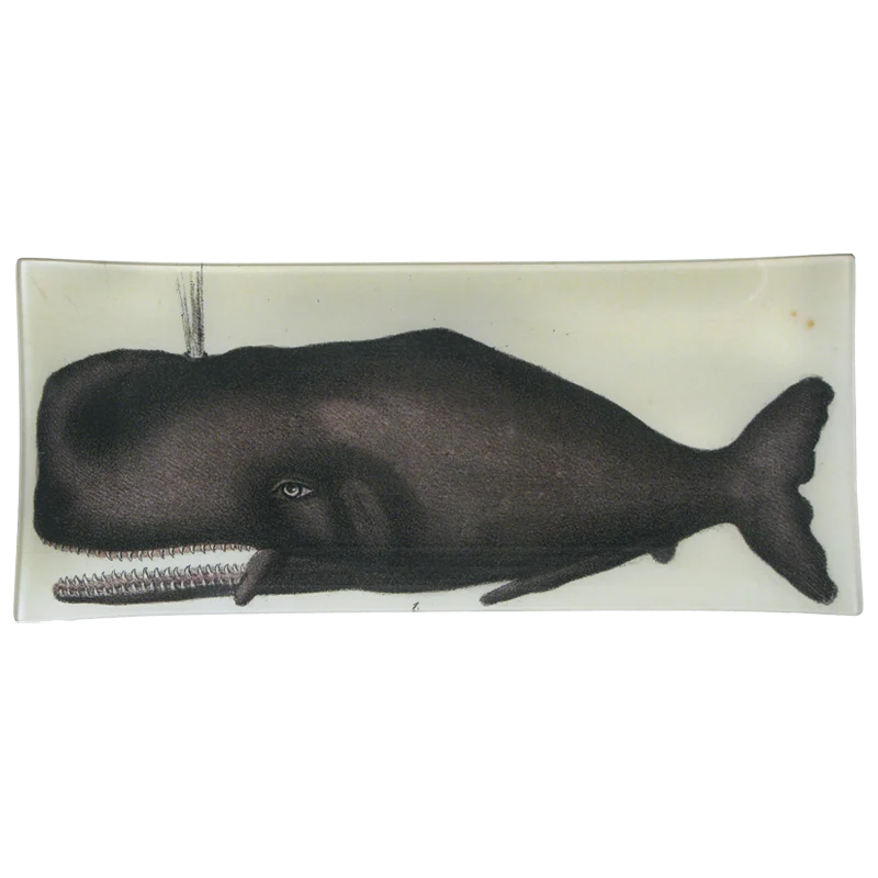 Sperm Whale