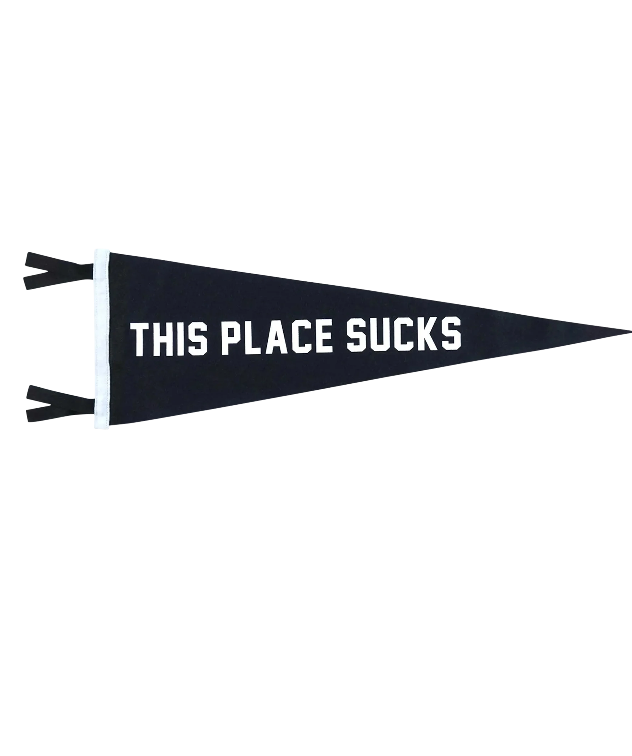 This Place Sucks Pennant