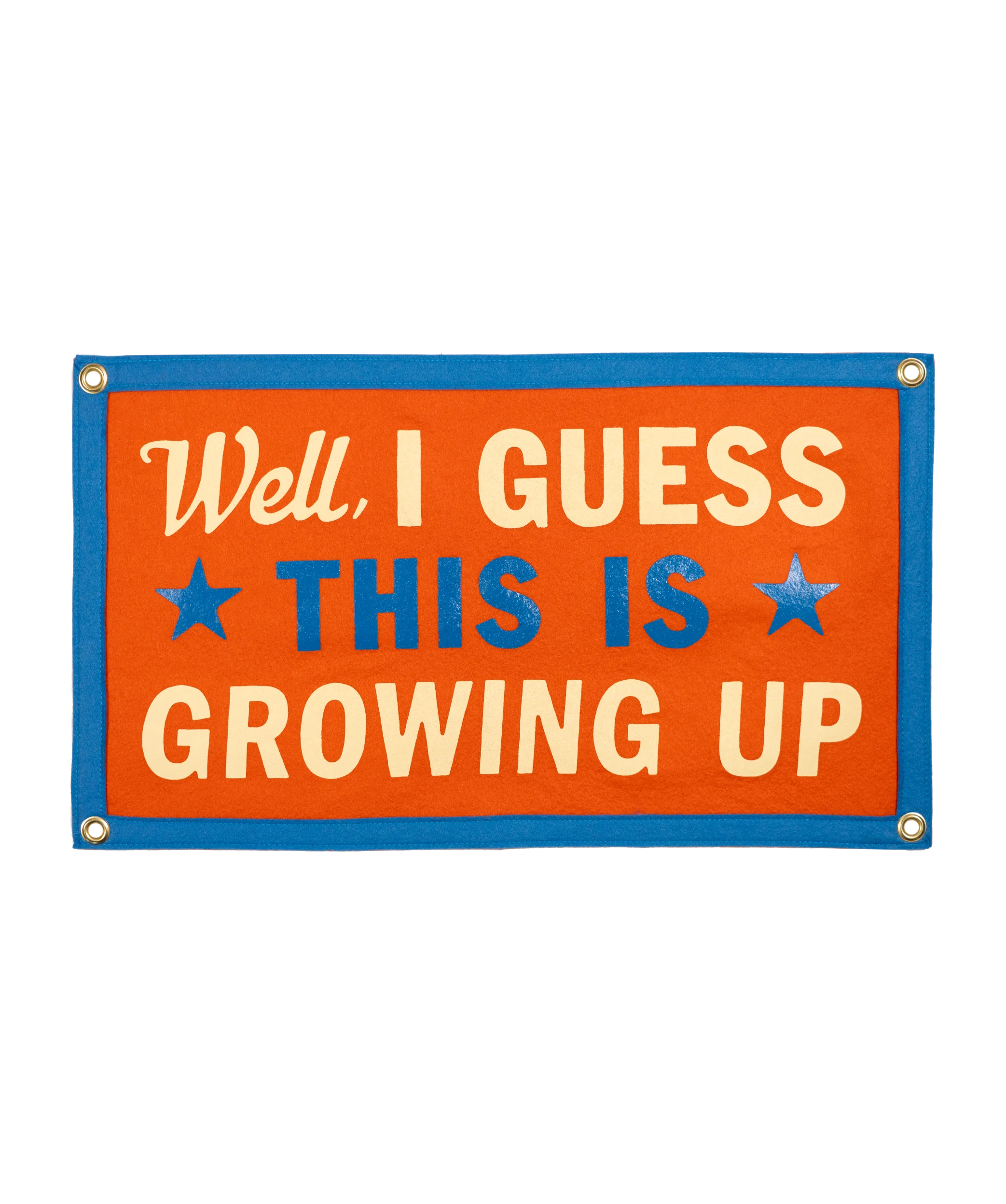 Well, I Guess This Is Growing Up Camp Flag • blink-182 x Oxford Pennant
