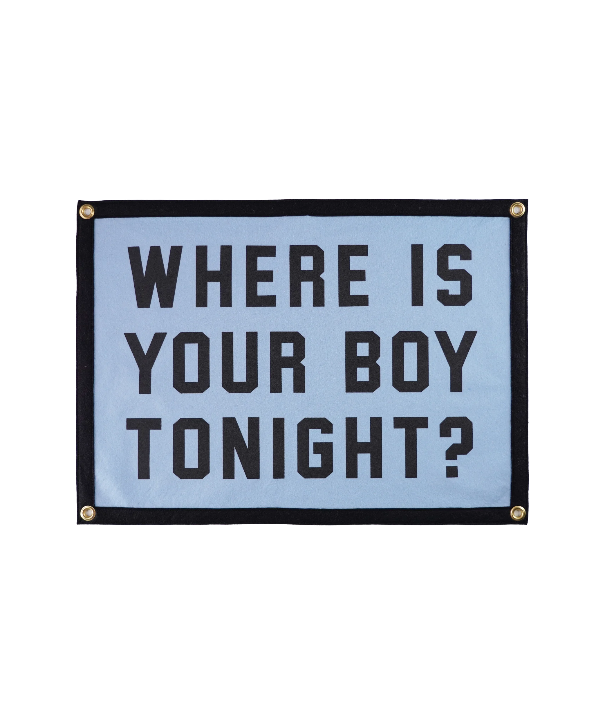 Where Is Your Boy Tonight? Camp Flag • Fall Out Boy x Oxford Pennant
