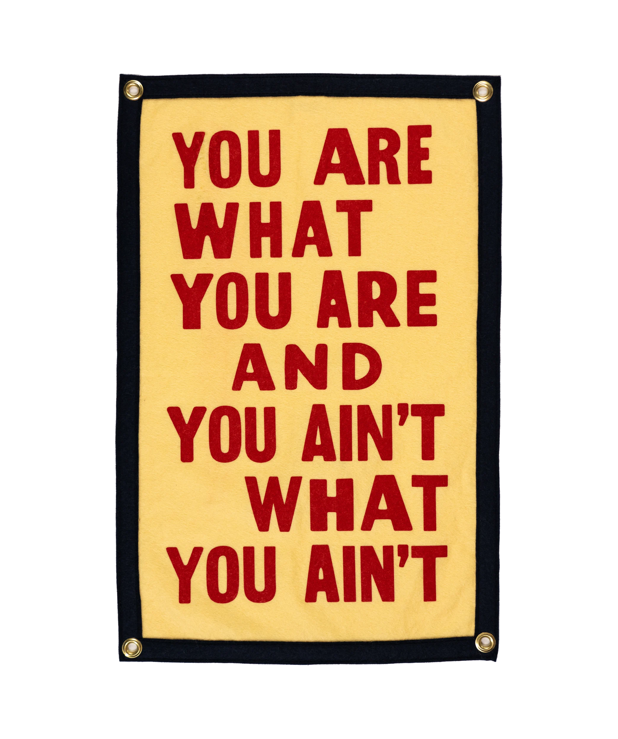 You Are What You Are Camp Flag • John Prine x Oxford Pennant